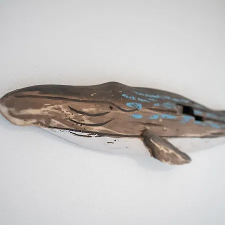 Daire Kjell Hus Dorf Sankt Peter-Ording